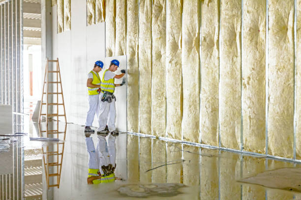 Best Energy Efficiency Solutions in Port Morris, NJ